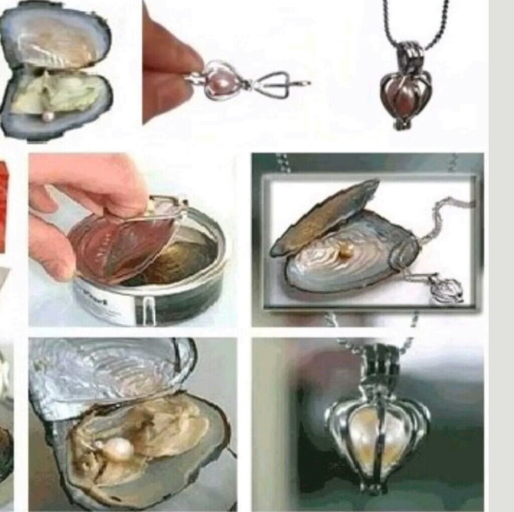PEARL In CLAM W/LOCKET&Chain PERFECT DIY GIFT+MORE